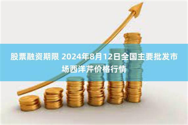 股票融资期限 2024年8月12日全国主要批发市场西洋芹价格行情