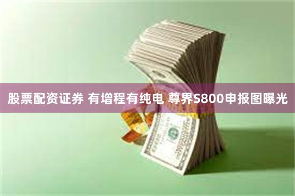 股票配资证券 有增程有纯电 尊界S800申报图曝光