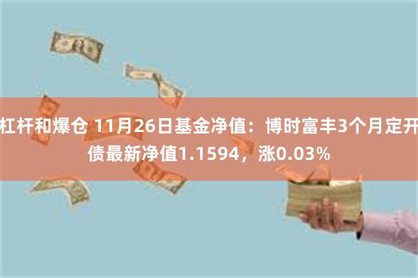 杠杆和爆仓 11月26日基金净值：博时富丰3个月定开债最新净值1.1594，涨0.03%