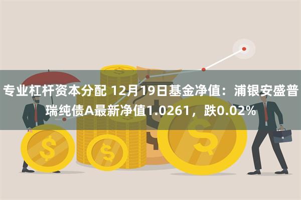 专业杠杆资本分配 12月19日基金净值：浦银安盛普瑞纯债A最新净值1.0261，跌0.02%