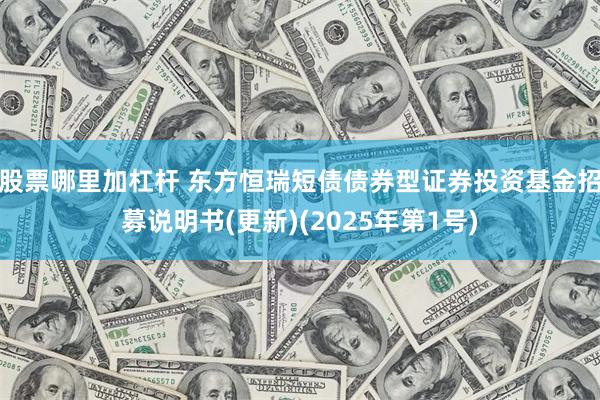 股票哪里加杠杆 东方恒瑞短债债券型证券投资基金招募说明书(更新)(2025年第1号)