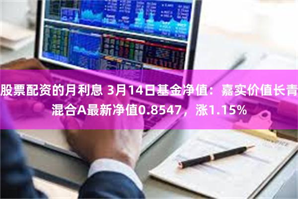 股票配资的月利息 3月14日基金净值：嘉实价值长青混合A最新净值0.8547，涨1.15%